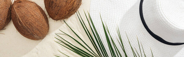 top view of palm leaf, coconuts and white straw hat on sand, panoramic shot