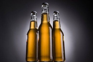 low angle view of glass bottles with beer on dark background with back light clipart