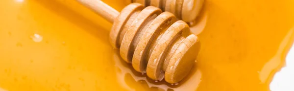 白に隔離された蜂蜜の水たまりと木製の蜂蜜ディッパーのパノラマショット — ストック写真