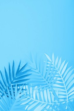 kopya alanı ile mavi minimalist arka planda kağıt yaprakları üst görünümü