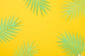 top view of paper cut green tropical palm leaves on yellow bright background with copy space