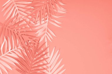 mercan tropikal kağıt kesme palmiye yaprakları üst görünümü, kopya alanı ile minimalist arka plan