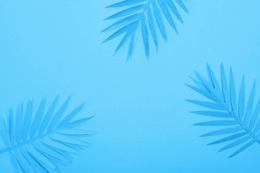 kopya alanı ile mavi minimalist arka planda kağıt tropikal yaprakları üst görünümü