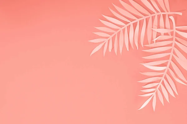 Top View Coral Tropical Paper Cut Palm Leaves Minimalistic Background — Stock Photo, Image