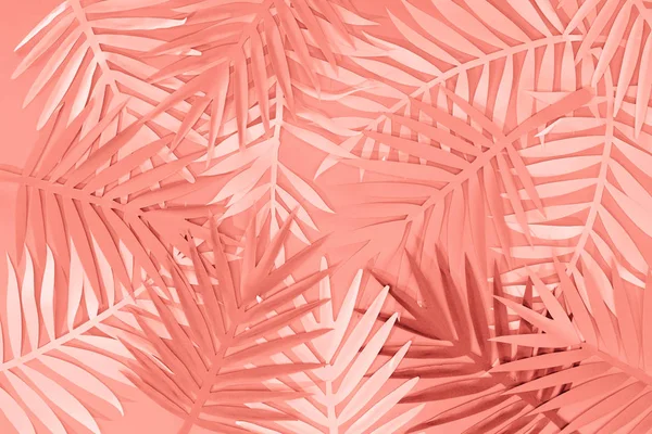 Top View Coral Tropical Paper Cut Palm Leaves Minimalistic Background — Stock Photo, Image