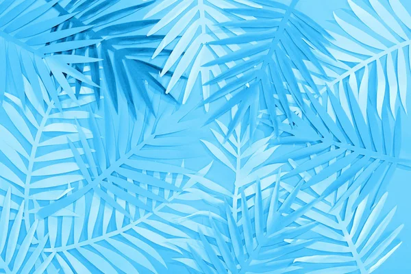 top view of paper leaves on blue minimalistic background