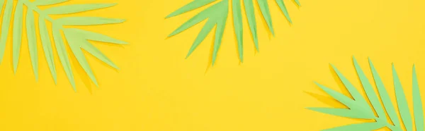 顶部视图剪纸绿色热带棕榈叶在黄色明亮的背景与复制空间 全景拍摄 — 图库照片