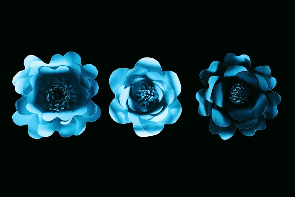 Draufsicht Auf Papier Geschnittene Blaue Blumen Isoliert Auf Schwarz Mit — Stockfoto