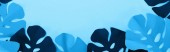 pohled na papír Vystřihněte tropické listy na modrém minimalistickém pozadí s prostorem pro kopírování, panoramatickým výstřesem