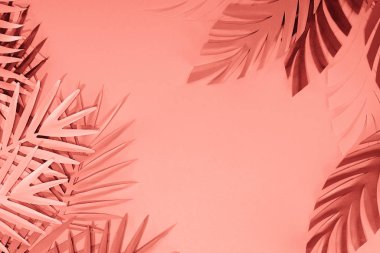 mercan tropikal kağıt kesim palmiye yaprakları çerçevesi, kopya alanı ile minimalist arka plan