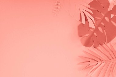 mercan tropikal kağıt kesme palmiye yaprakları üst görünümü, kopya alanı ile minimalist arka plan