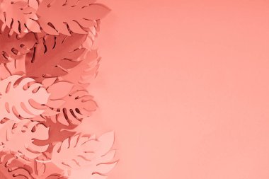 mercan tropikal kağıt kesim palmiye yaprakları çerçevesi, kopya alanı ile minimalist arka plan