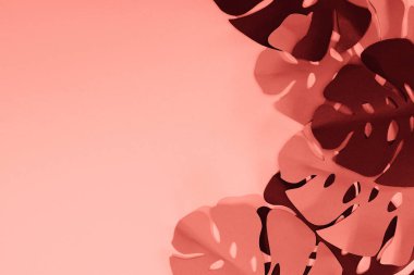 mercan tropikal kağıt kesim palmiye yaprakları çerçevesi, kopya alanı ile minimalist arka plan