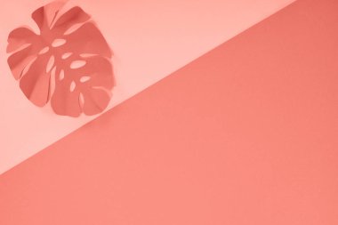 mercan tropikal kağıt kesme palmiye yaprağı, kopya alanı ile minimalist arka plan üst görünümü