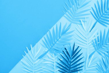 kopya alanı ile mavi minimalist arka planda kağıt yaprakları üst görünümü