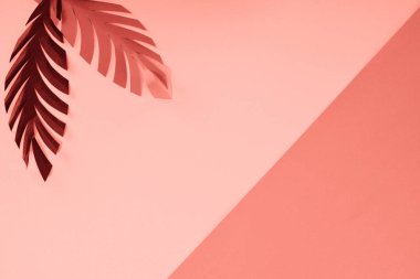 top view of coral tropical paper cut palm leaves, minimalistic background with copy space clipart