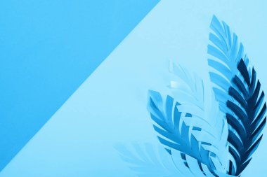 kopya alanı ile mavi minimalist arka planda kağıt yaprakları üst görünümü