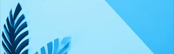 Colpo Panoramico Foglie Carta Sfondo Minimalista Blu Con Spazio Copia — Foto Stock