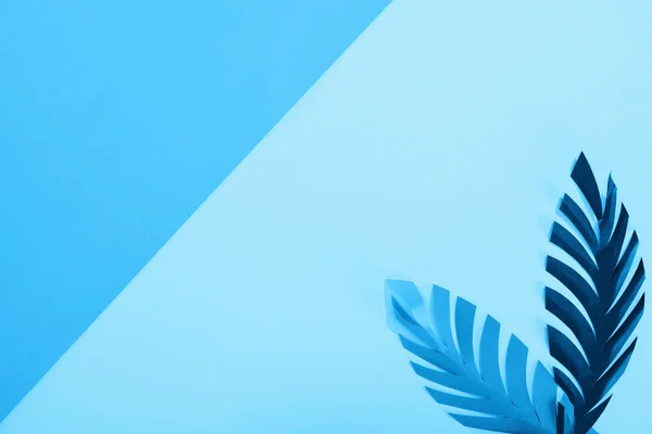Верхний Вид Листьев Бумаги Синем Минималистичном Фоне Копировальным Пространством — стоковое фото