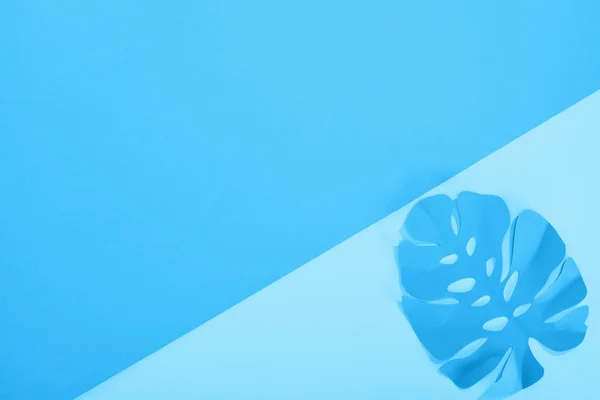 top view of paper leaf on blue minimalistic background with copy space
