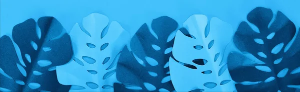 青いミニマルな背景 パノラマショット上の紙の葉のトップビュー — ストック写真