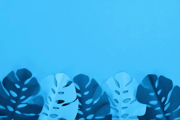 Widok Góry Papieru Wyciąć Egzotyczne Liście Niebieskim Minimalistyczne Tło Kopią — Zdjęcie stockowe