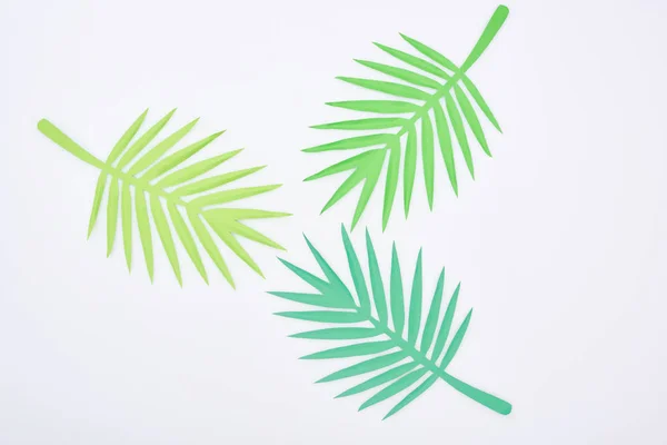 Top View Green Paper Cut Tropical Leaves Isolated White — Stock Photo, Image