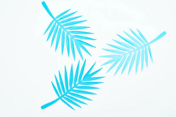 Bovenaanzicht Van Blauw Papier Gesneden Tropische Bladeren Geïsoleerd Wit — Stockfoto