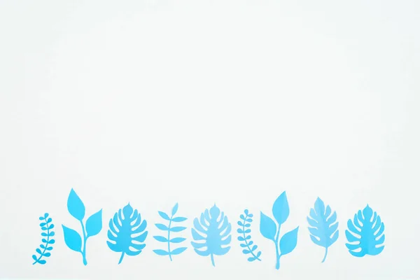 Vista Superior Papel Azul Cortar Folhas Tropicais Linha Isoladas Branco — Fotografia de Stock