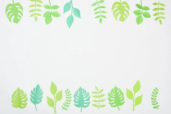 Top View Green Paper Cut Tropical Leaves Isolated White Copy — Stock Photo, Image