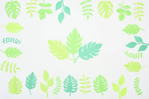 绿色剪纸热带叶子在白色上与之相隔离的顶视图 — 图库照片