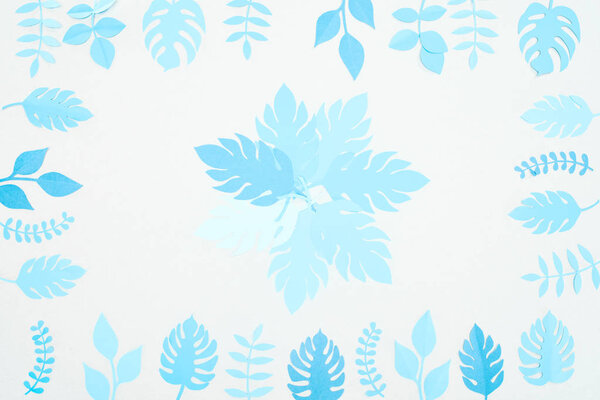 top view of blue paper cut tropical leaves isolated on white