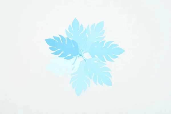 Top View Blue Paper Cut Tropical Leaves Isolated White Copy — Stock Photo, Image