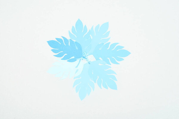 top view of blue paper cut tropical leaves isolated on white with copy space