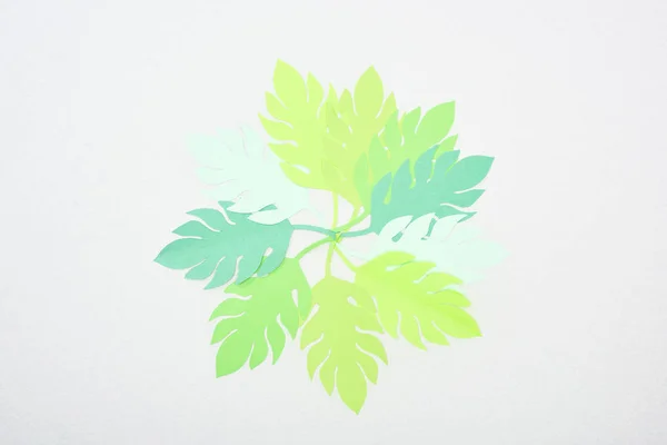 绿色剪纸热带叶子的顶视图隔离在白色与复制空间 — 图库照片