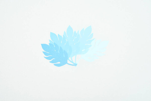 top view of blue paper cut tropical leaves isolated on white with copy space