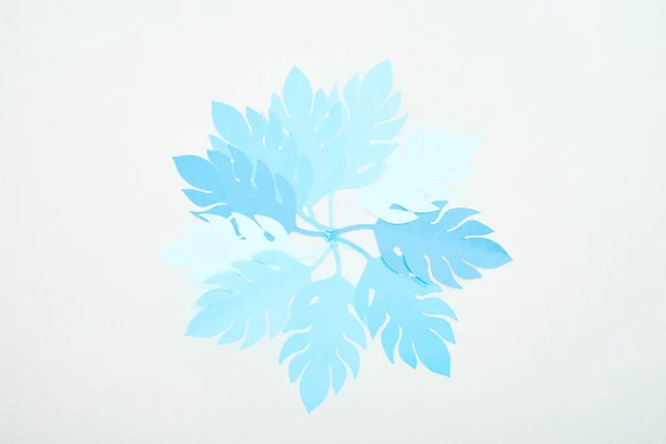 Top View Blue Paper Cut Tropical Leaves Isolated White Copy — Stock Photo, Image