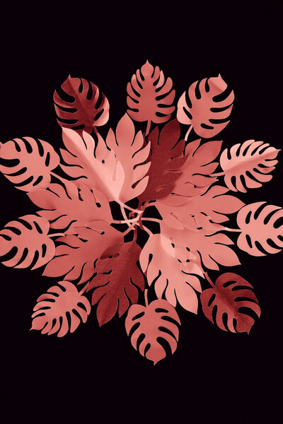 top view of paper cut coral leaves isolated on black, background pattern