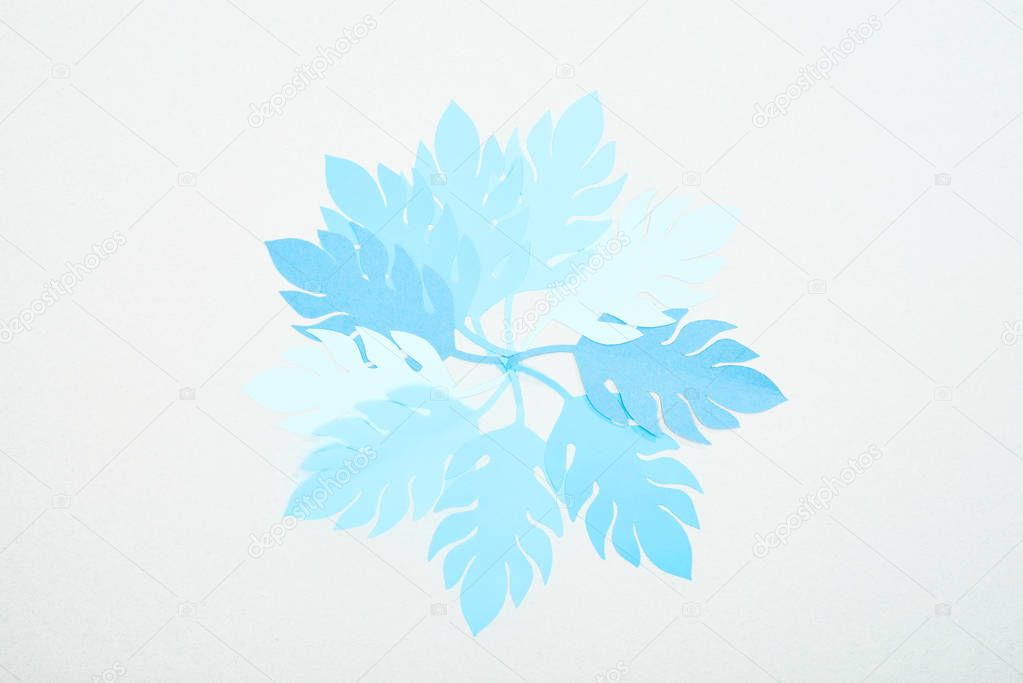 top view of blue paper cut tropical leaves isolated on white with copy space