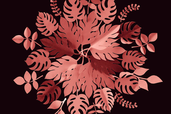 top view of paper cut coral leaves isolated on black, background pattern