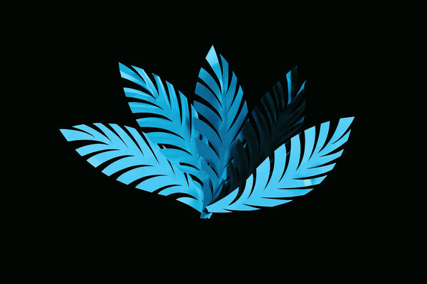 top view of paper cut blue leaves isolated on black, background pattern