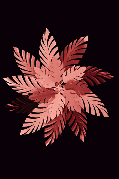 top view of paper cut coral leaves isolated on black, background pattern