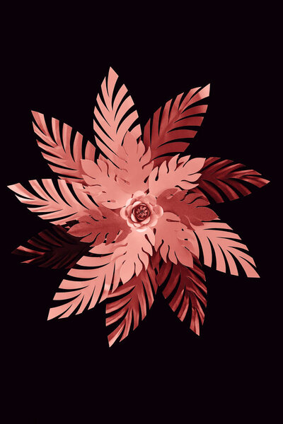 top view of paper cut coral leaves with flower isolated on black, background pattern