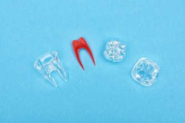 top view of silicone tooth model near red dental root and tooth fillings isolated on blue  clipart