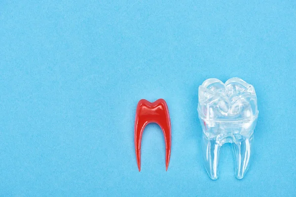 Silikonzahnmodell Der Nähe Der Roten Zahnwurzel Isoliert Auf Blau — Stockfoto