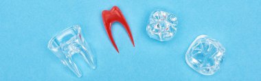 panoramic shot of silicone tooth model near red dental root and tooth fillings isolated on blue  clipart