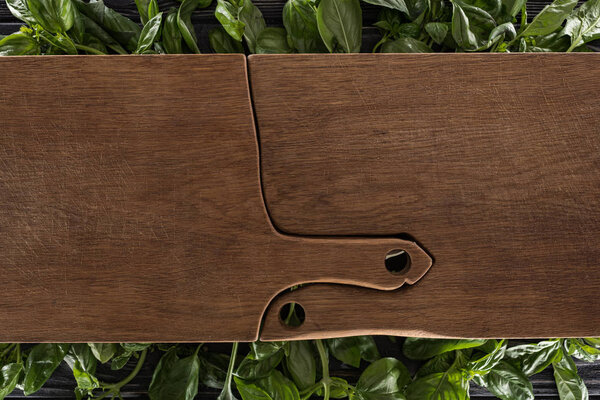 top view of wooden cutting boards on leaves of basil 