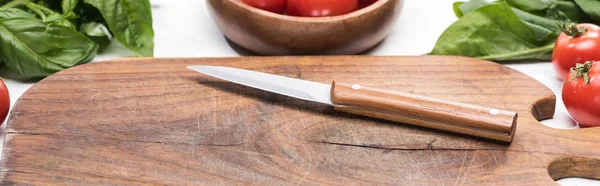 Tiro Panorâmico Tábua Corte Madeira Com Faca Tomate Cereja Vegetação — Fotografia de Stock