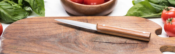 panoramic shot of wooden cutting board with knife, cherry tomatoes and greenery