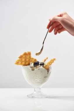 Beyaz waffle ve yaban mersini gri üzerinde izole ile lezzetli fıstık dondurma yakın kadın tutma kaşığı kırpılmış görünümü